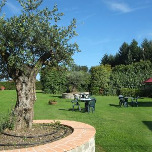 Park-hotel-la-pineta-05