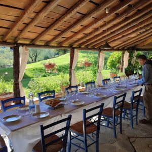 Podere-fedespina-09